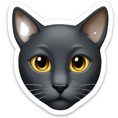 dark gray sleek Tom cat with gold eyes  sticker
