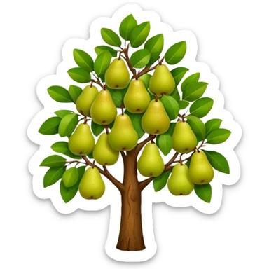 Pear Tree sticker