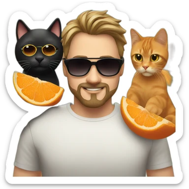 polish man with goatee in sunglasses holding one orange cat and one black cat sticker