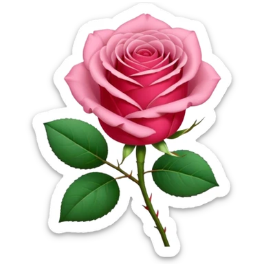 One pink🌹 and one red flower 🌹 on with red band  sticker