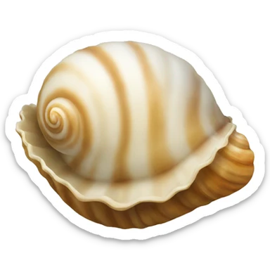Shells sticker