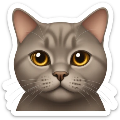 A brown british shorthair cat sticker