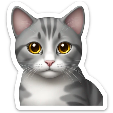 cute cat that’s grey on the top and white at the bottom of the body sticker