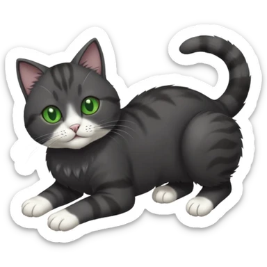 solid dark grey cat with green eyes, white toes/paws and white patch on her chest playfully rolling upside down sticker