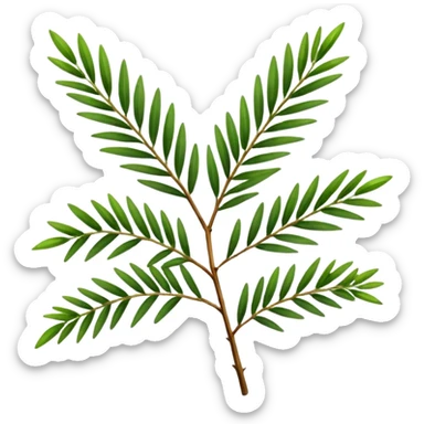 Melaleuca alternifolia
 sticker