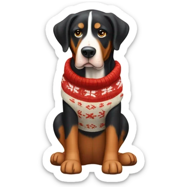 Greater Swiss mountain dog wearing a moose sweater sticker