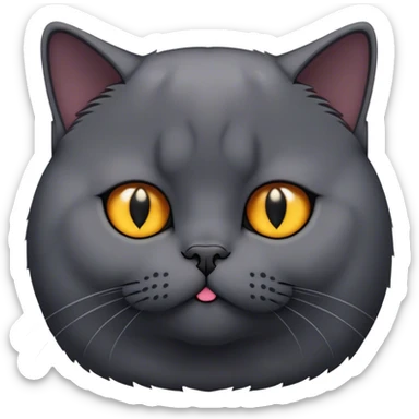 black British shorthair cat sticker