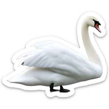 Swan  sticker