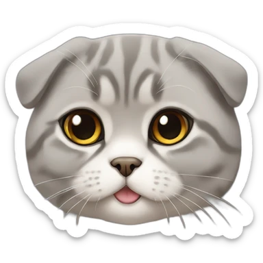 scottish fold sticker