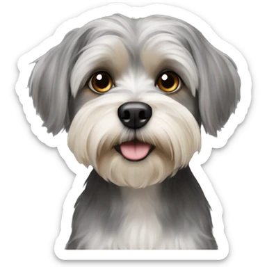 Grey Yorki shitzu mix dog sticker