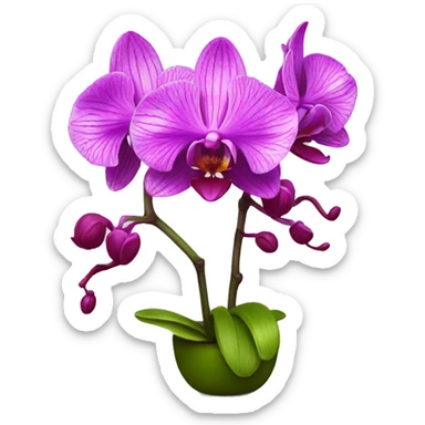 orchids sticker