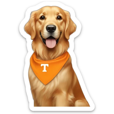golden retriever wearing university Tennessee orange sticker