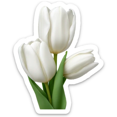 White tulips sticker