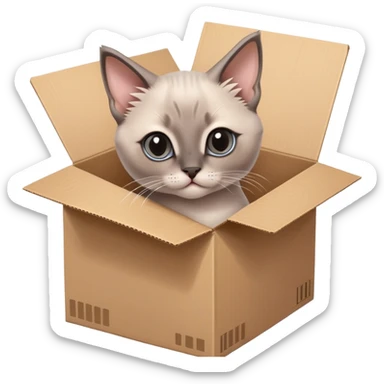  A very cute gery young kitten Siamese Cat cat with one's head tilted to one side poked its paws out of the cardboard big box and placed them on top of it sticker