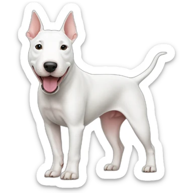 Bull terrier sticker