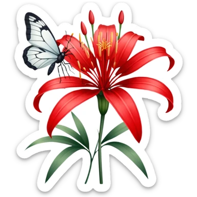 Red spider Lilly with white butterfly  sticker