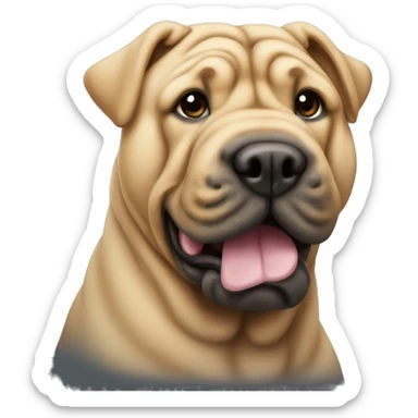 Shar-pei sticker