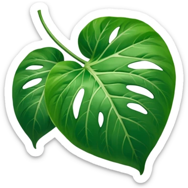 pothos leaf































































 sticker