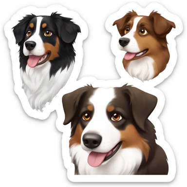 australian shepherd black and white and another one brown and white  sticker