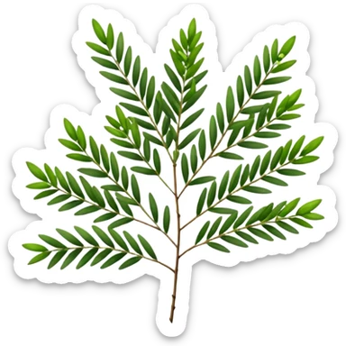 Melaleuca alternifolia
 sticker