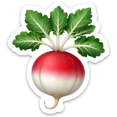radish UK plant with a bit of white on the bottom of the radish sticker