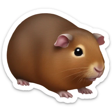 Guineapig agouti sticker