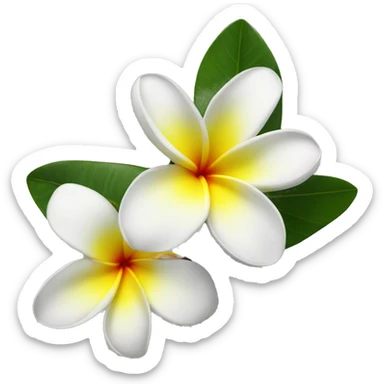 frangipani white sticker