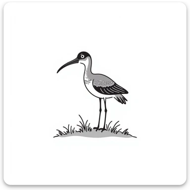Curlew sticker