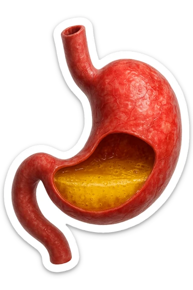 stomaco umano anatomico infiammato con acido giallo all'interno, iperrealistico 4k, isolato su sfondo bianco sticker
