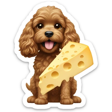 Cockapoo eating cheese sticker