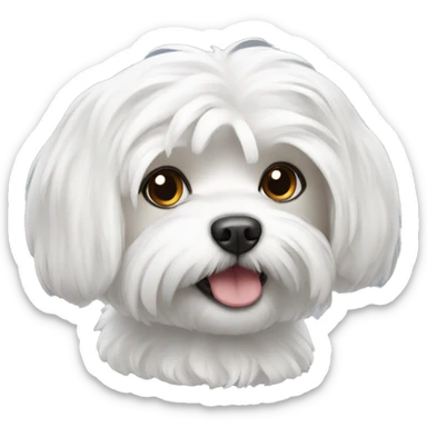 Maltese  sticker