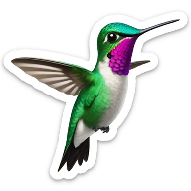 Hummingbird  sticker