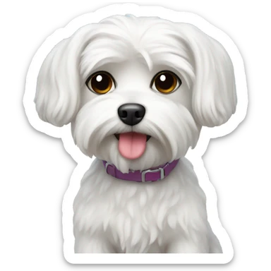 Maltese dog at the beach sticker