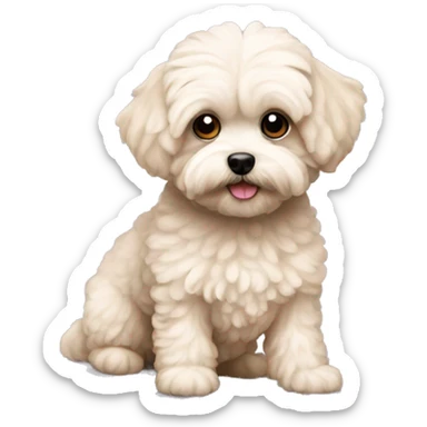 maltipoo  sticker