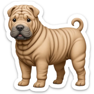 Grey shar pei dog standing sticker