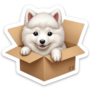  A very cute young Samoye  with one's head tilted to one side poked its paws out of the cardboard big box and placed them on top of it sticker