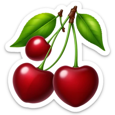 Pair of vibrant deep red cherries with green stem, fruit sticker