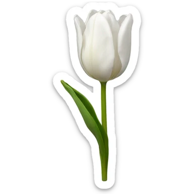 White tulip sticker