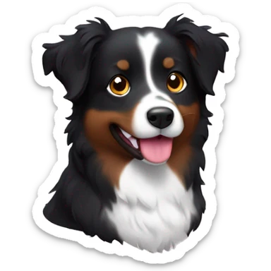 Small black australian shepherd dog with huge maroon heart sticker