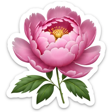 Peony sticker