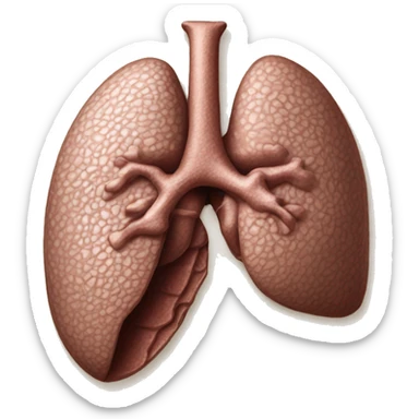 “A detailed illustration of a human liver, showing its shape, texture, and rich brown color, with subtle shading for depth.” sticker