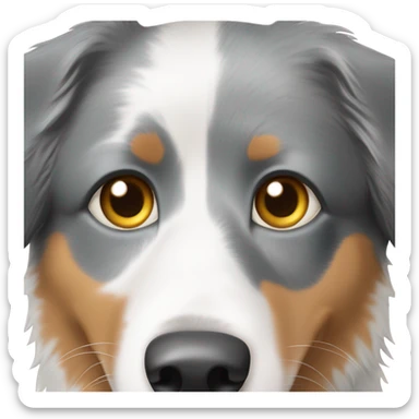 Australian shepherd dog with tri half right eye, white left side, white left ear sticker