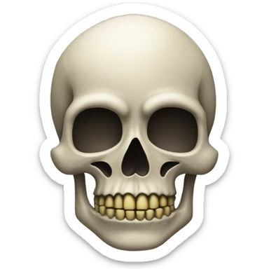 skull head with a sign "RAID" sticker