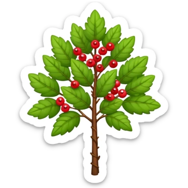 A tall shrub with layered leaves and a few small berries. sticker