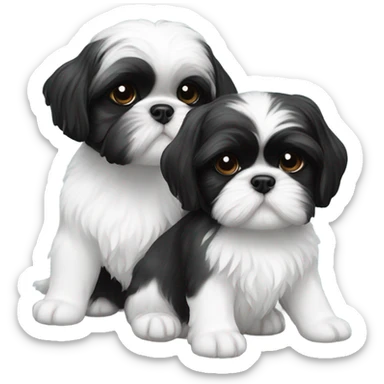 Two black and white shitz tzu puppies  sticker