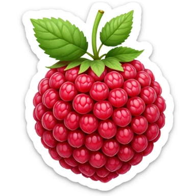 Very small copy n paste raspberry  sticker