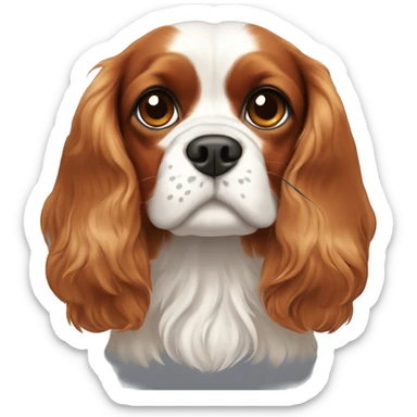 Cavalier King Charles spaniel with a spot on his forehead sticker