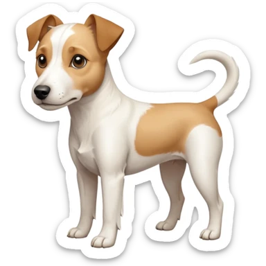 a full body facing front on of a buff white parson russell terrier looking dog the size of a kelpie with light brown long ears resting on its face and a light brown patch above one eye and a large snout. the rest of the dog is completely white.  sticker