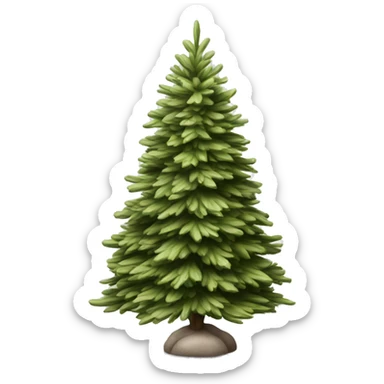 Realistic isolated off white fir christmas tree   sticker