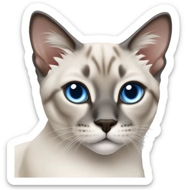 Blue lynx point Siamese cat sticker